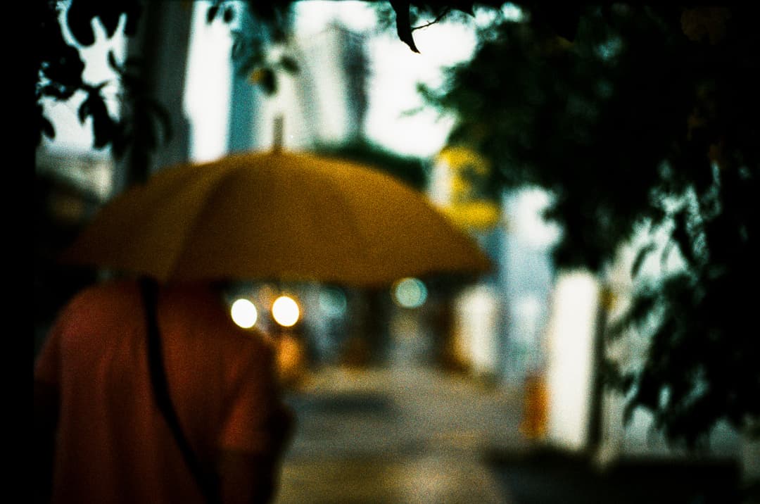 Eduardo Serda "Umbrella".jpg